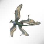 Microraptor gui - ������������� ���������